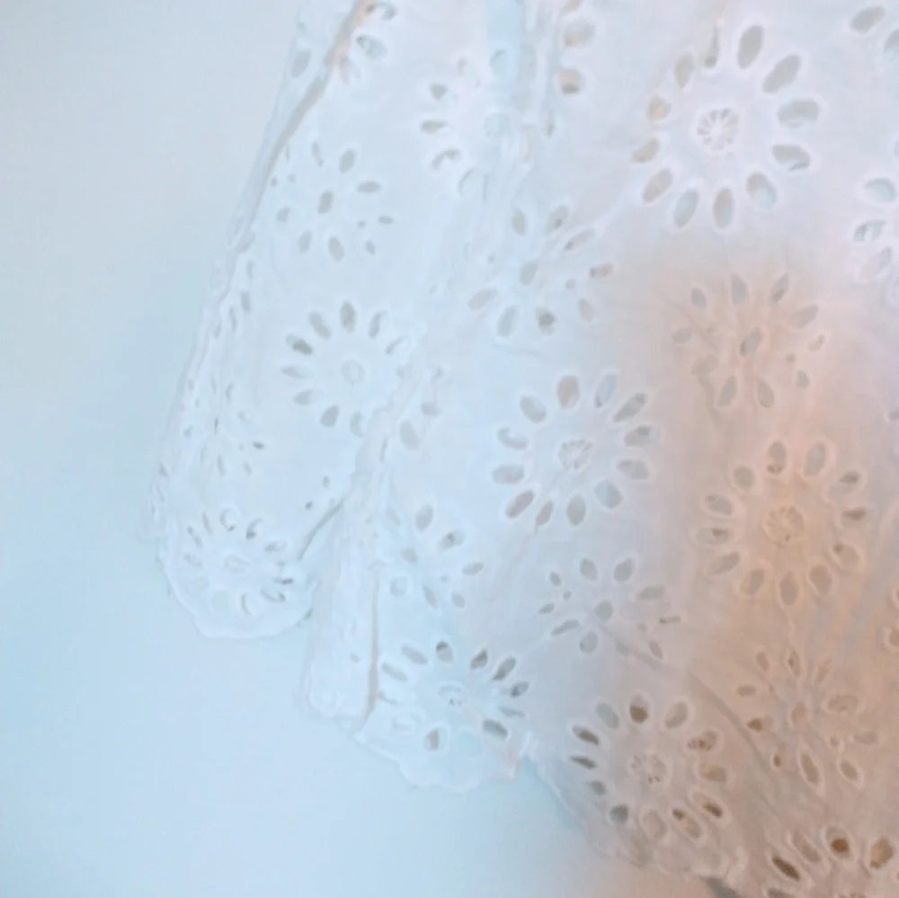 Zara Eyelet Embroidered Shirt